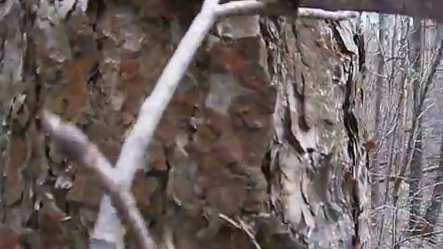 ТОПОР НОЖ .Весна смотреть онлайн