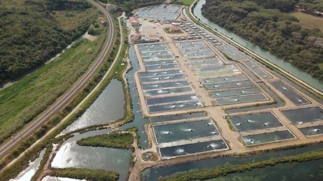 The Future of Aquaculture Systems смотреть онлайн