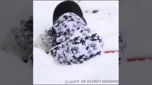 Прикол такса с ружьём 😀😁😂