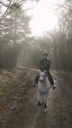 Calming Forest Ride - This Esme