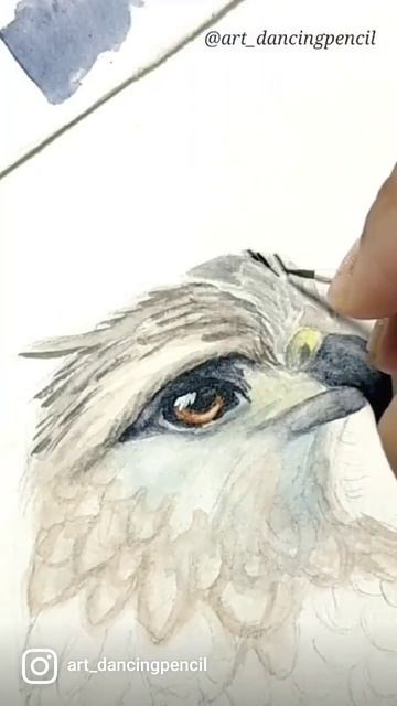 Eagle in #Watercolor #sunday #shorts #2021