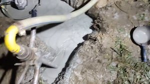 Абиссинка 28м  дебет 1,6 куба КП ОккерВилла д.  Новосергиевка