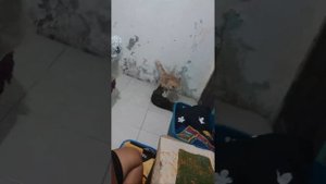 makan malm nya sama sate
