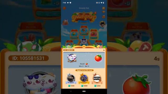 New Greedy Cat MICO live version 2022