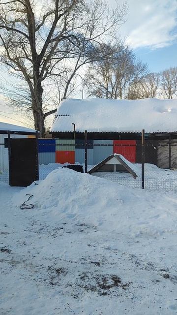 Зоогостиница. Будни  передержки. Беся,Агата,Уголек