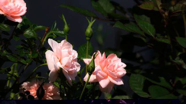 Популярные хиты музыки и фото 2015 смотреть онлайн