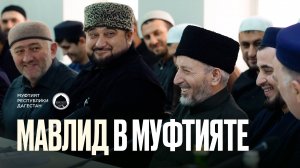 МАВЛИД В МУФТИЯТЕ ДАГЕСТАНА