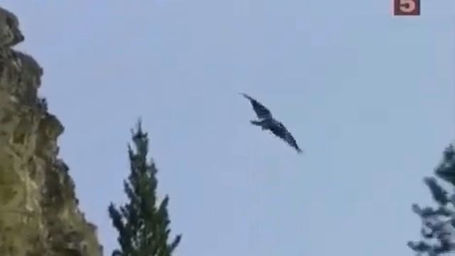 Рокфеллеры Биография смотреть онлайн