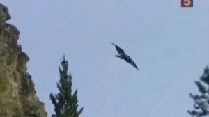 Рокфеллеры   Биография