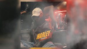 TARA202 - HARLEY