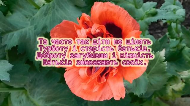 Гарний вірш про тата. Вірш на день Батька. День тата. Автор Л. Фабʼянчук