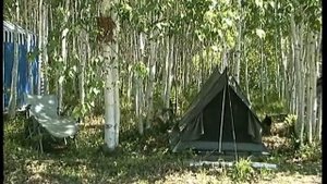 Мишкина берлога, 10 лет назад.