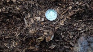 Can you compost wood chips? Part 2
