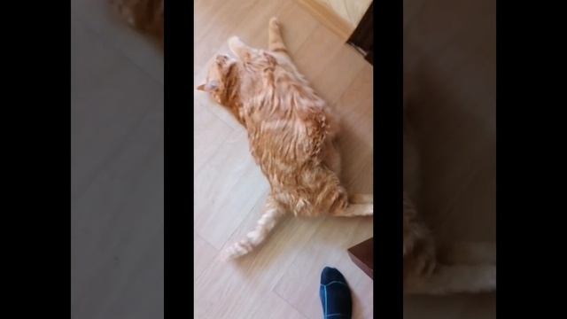 Нюша очень ждёт своего человека