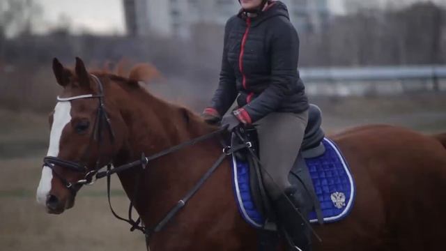 Золотой Бренд - крутая лошадь. Тизер смотреть онлайн