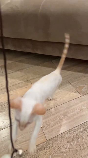 5 ноября 2022 г. смотреть онлайн