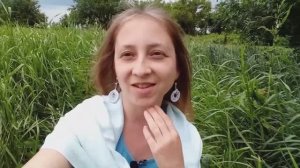 3 суток автономии. Сыроедение, осознания