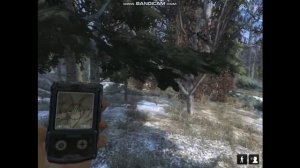 The Hunter classic(обнаружить Северного оленя)