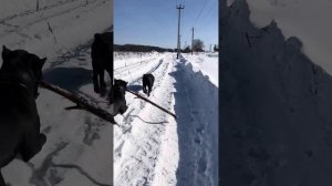 Помчали 😘😘😘