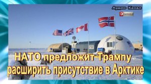 НАТО предложит Трампу расширить присутствие в Арктике