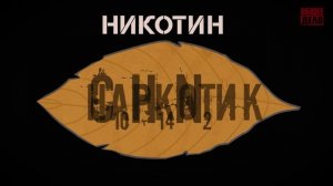 Безопасное детство (2) 2025