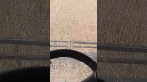 GS 10   как настроить.