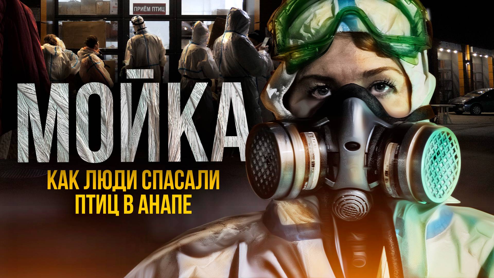 Как автомойка стала мойкой для птиц