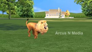 Gorilla vs Lion vs animals finger family songs for toddlers,3D rhymes,tiger,bear,Arcus N Media Kidz