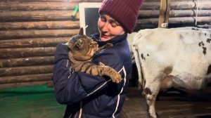 У нас появился помощник на ферме! Новые жители в курятнике! Ожидаем декабрьские отёлы!