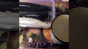 Соленая скумбрия