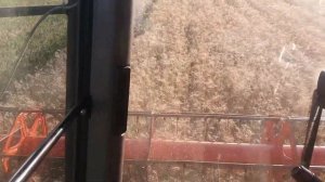 Уборка пшениці  комбайном Claas Lexion 480. Harvest 2019.