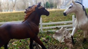 шляйх сериал лошадиная воля 2 серия "побег"