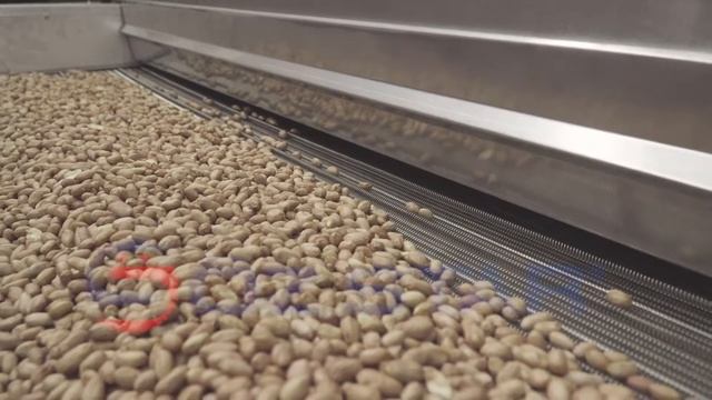 OS - 1000DR Belt Type Roasting Machine With Ramp / OS - 1000DR حزام نوع آلة تحميص مع منحدر