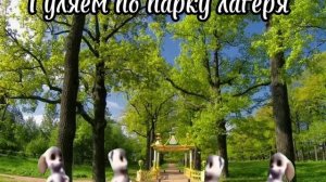 Пов: Мой обычный день в лучшем лагере 🐬