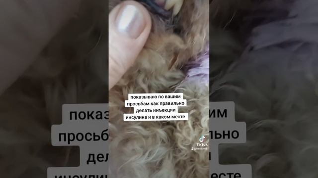 как правильно делать инъекции инсулином . консультации бесплатно .пишите .