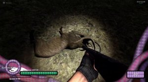 Охота на оленя 2005