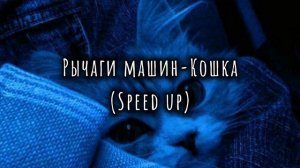 Рычаги Машин-Кошка (speed up)