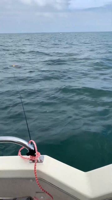 Морская рыбалка. Ловля Морской Щуки и Камбалы.