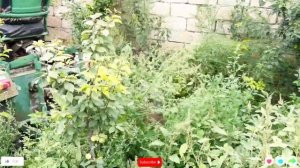 Что такое Мульчер на минитрактор? Mulcher