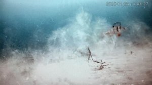 Атака щуки  за окунем !