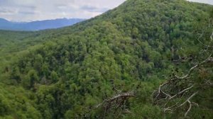 Сочи. Орлиные скалы