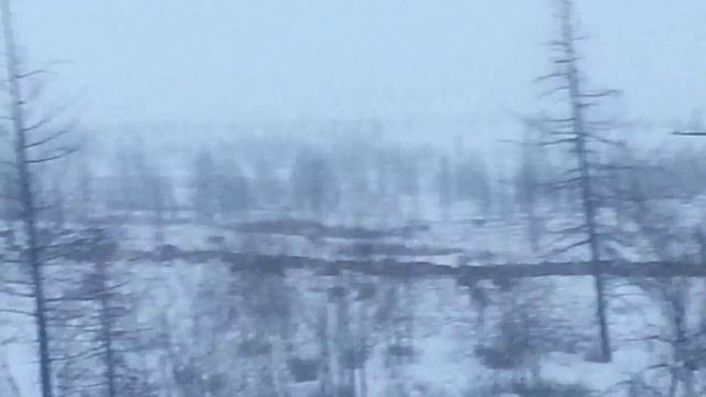 Русский север работа на севере