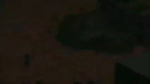 Ninja Turtles - (S7E14) "Mayhem from Mutant Island"