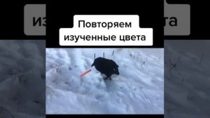 Ворон Гоша приносит фломастеры