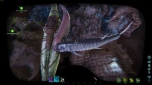 Ксифактинус или Ксифактин Как Приручить ARK Survival Ascended