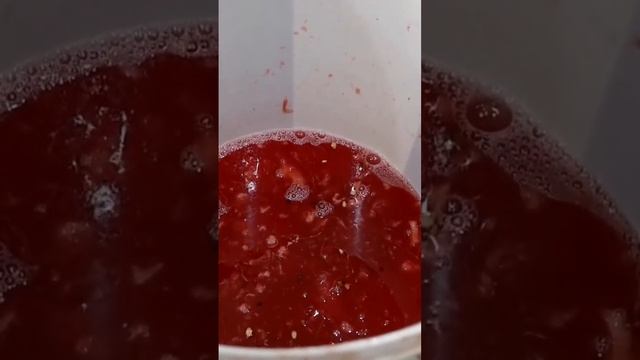 БРАГА ИЗ АРБУЗОВ - СКОЛЬКО САМОГОНА ИЗ 100 КГ? смотреть онлайн