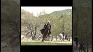 Рустами Нур 11