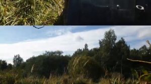 #зил-157 Волга и два Зила в Лесу