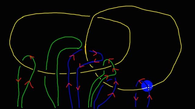 Интуитивная теория узлов | фундаментальная группа узлов и зацеплений | 4 смотреть онлайн