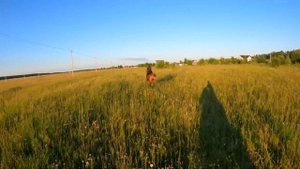 Мчимся в закат! Конная прогулка в сумеречный ЛЕС и золотое ПОЛЕ